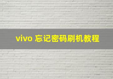 vivo 忘记密码刷机教程